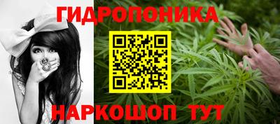 мяу мяу мука Канаш