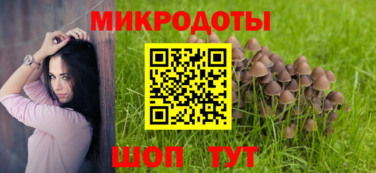 Псилоцибиновые грибы Magic Shrooms  Вход с VPN  Галлюциногенные грибы GOLDEN TEACHER  закладка  Красногорск 
